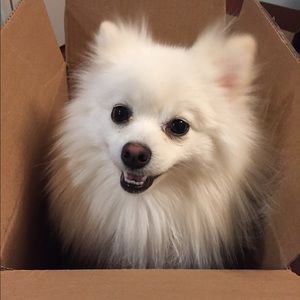 Meet your Posher, Aleksandra